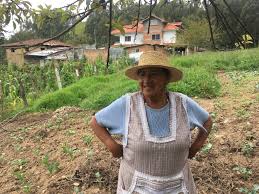 Raul lara, ecuadorian luthier works around seven months in the construction of each instrument. Empower Ecuadorian Women To Elevate Communities Globalgiving