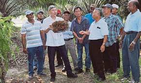 Langkah mengurangkan kesan kegiatan manusia terhadap alam sekitar. Kegemilangan 100 Tahun Industri Sawit Dan Wawasan Hadapan