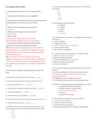 Check spelling or type a new query. Https Www Jeffcopublicschools Org Userfiles Servers Server 836664 File Morgan Ib 20mitosis 20review 20a 20key Pdf