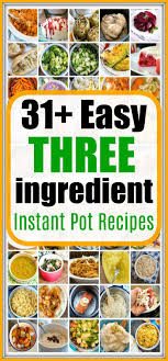 3 Ingredient Instant Pot Recipes In 2020 Ground Beef Recipes Easy Instant Pot Recipes Pot Recipes