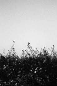 We did not find results for: 1000 Dark Aesthetic Pictures Download Free Images On Unsplash