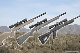 When customizing a ruger 10/22, one of the first parts that is generally switched out is the stock. Buyer S Guide Three 10 22 Takedown Stocks Recoil Offgrid