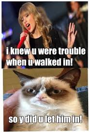 I Knew You Were Trouble When You Walked In Meme I Knew You Were Trouble When You Walked In Grumpy Cat Quotes Funny Grumpy Cat Memes Funny Animal Memes