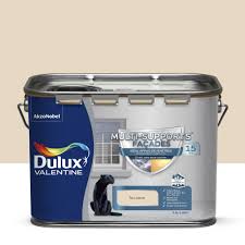 Alpina peinture façade acrylique protection longue durée 10l blanc. Peinture Dulux Valentine Multisupport Facades Mat Ton Pierre 2 5l Peinture Facade Crepis Peinture Exterieur Revetement Facade Peinture Exterieure Et Traitement Bois Jardin Exterieur