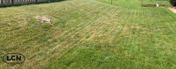 Here you will find my free newsletter that gives you much more than just the tip. Allyn Hane The Lawn Care Nut Milorganite