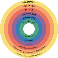 Major Levels Of Linguistic Structure Speech Language Therapy Speech And Language Linguistics
