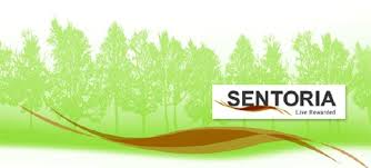 (sendirian berhad) sdn bhd malaysia company is the one that can be easily started by foreign owners in malaysia. Sentoria Raih Dua Kontrak Rm110 Juta