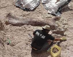 Así era el dinosaurio más grande del mundo (y su depredador)