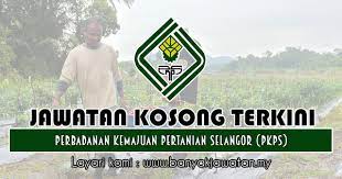 Jawatan kosong 2021 di universiti selangor (unisel) | permohonan adalah dipelawa daripada warganegara malaysia yang berkelayakan dan berumu. Jawatan Kosong Di Perbadanan Kemajuan Pertanian Selangor Pkps 15 Oktober 2018 Kerja Kosong 2021 Jawatan Kosong Kerajaan 2021