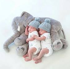 Get Your Baby Something They Will Love Click The Image And Grab Yours Today Twin Baby Photography Elephant Stuffed Animal Baby Elephant
