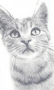 Pin On Learn Fine Art Drawing