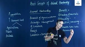 Animal Husbandry: Inbreeding, Outbreeding, Apiculture, Videos, Examples