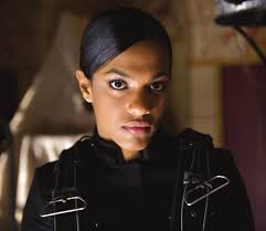 THE TENTH DOCTOR SOURCEBOOK