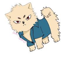 I Present To You An Angry Pomeranian In 2020 Drawings Anime Pomeranian
