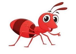 How to get rid of sugar ants in bathroom. How To Get Rid Of Sugar Ants Control Prevention Guide