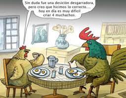 Chiste De Pollos Chistes De Huevos Chistes De Pollos Pollo Divertido