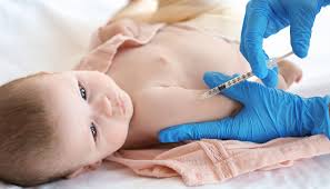 A mycobacterium bovis é utilizada para a produção da vacina bcg em sua forma viva atenuada. Meu Filho Nao Ficou Com Cicatriz Da Vacina Bcg Ele Precisa Tomar De Novo Vix