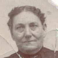 Sylvia Adeline Tyrrell (1839–1918) • FamilySearch