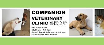 Companion Veterinary Clinic Melaka - Klinik Haiwan Companion Melaka - 马六甲同伴兽医诊所