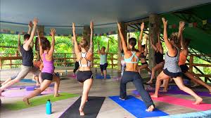 We did not find results for: Epic Academy Yoga Teacher Training Thailand Epic Self