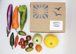 Small but Mighty — Meet Susanna Meyer and Neil Stauffer of Mighty Small  Farm