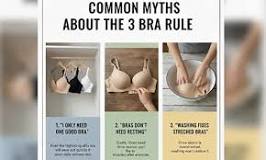 The 3 Bra Rule Explained: A Complete Guide for Comfort ...