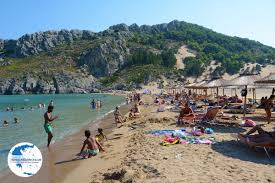 Image result for Thamnosma rhodesica