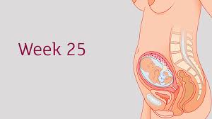 Maybe you would like to learn more about one of these? 25 Weeks Pregnant All You Need To Know Tommy S