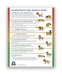 We did not find results for: Fear Free Marketing Materials Store Fear Free Pets