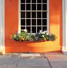 Wie Bepflanze Ich Meine Balkonkasten Richtig 19 Ideen Und Beispiele In 2020 Balkonkasten Bepflanzen Pflanzideen Blumenkasten Bepflanzen