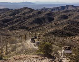 De linksback heeft een flinke zwelling onder een oog overgehouden aan het gewonnen. Bad Medicine Ajax Mine Funtreks