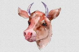 Farm Animals Cow Head Watercolor Png Graphic By Mystocks Creative Fabrica