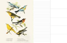 Bird Bird Bird Is The Word Movie Observer S Notebook Birds Diary March 5 2019 Birds Notebook Observer March Bird Watchers Birds Notebook