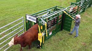 Top-selling Cattle Squeeze Chutes For The Money 2020 Review Cattle Facility Cattle Ranching Cattle Corrals