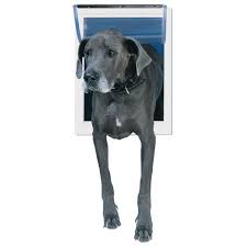 Buying the best dog door for big dogs allows easy access to the outdoor. Ideal Pet 15 In X 20 In Original Frame Dog And Pet Door Ppdsl The Home Depot