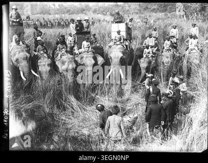 King George V of Great Britain hunting a tiger in India 1911 Stock Photo - Alamy