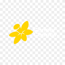 Find out about cancer diagnosis and treatment, reducing cancer risk, and support services. Cancer Council Australia Png Images Pngwing