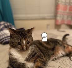 Pin By Greentealemonade On Dreamsmp Other Mcyt In 2020 Cat Patch Warrior Cats Dream Team