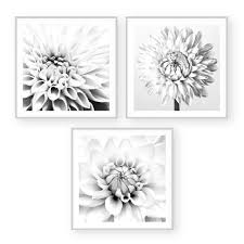 Black And White Flower Prints In Frames Framed Black White Floral Dahlia Artwork Set 3 Piece Galeria Rodrigo Floral Art Piece Flower Art Set