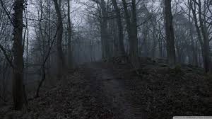Find creepy woods pictures and creepy woods photos on desktop nexus. Forest Dark Black Forest Dark Scary Backgrounds Novocom Top
