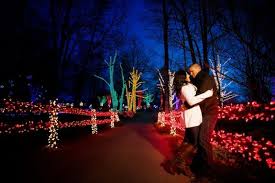 Their Relationship Started At A Holiday Lights Show So Their Engagement Session Inclu Christmas Couple Pictures Christmas Engagement Holiday Lights Christmas