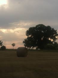 Profile for Little Texas, Al