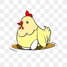 Kuning Ayam Putih Telur Kartun Ilustrasi Ilustrasi Hewan Yang Digambar Tangan Hewan Menggemaskan Bertelur Ayam Ayam Kuning Png Transparan Gambar Clipart Dan Ilustrasi Hewan Menggambar Tangan Hewan
