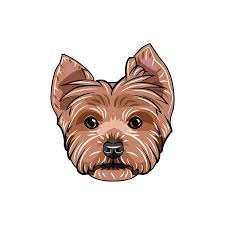 Yorkshire Terrier Stock Vector Illustration And Royalty Free Yorkshire Terrier Clipart This yorkshire terrier floral silhouette pattern is modern and trendy and would brighten up any room. yorkshire terrier stock vector