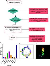 A dna library is a set of cloned fragments that collectively represent the in contrast, however, cdna libraries represent only mrna being produced from a specific cell type at a. Cdna Library List Of Frontiers Open Access Articles
