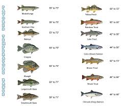 How Water Temperature And Oxygen Affect Fishing Mepps Tactics