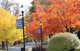 Bloomingdale 2024 Community Guide & Business Directory by Shaw Media