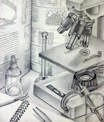 50 Still Life Drawing Ideas For Art Students Favorite character/superhero/person life drawing usually includes people with expressions or in action. still life drawing ideas for art students