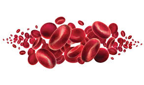 Maybe you would like to learn more about one of these? Elak Kekurangan Sel Hemoglobin