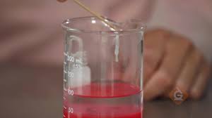 Start studying dna extraction worksheet (strawberry). Genes Dna Activity For Kids Extract Dna From Strawberries Diy